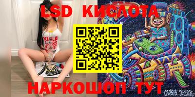 стафф Бийск