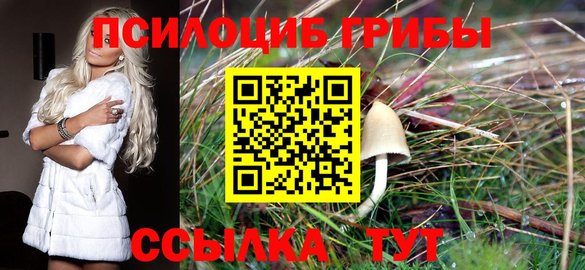 Галлюциногенные грибы Magic Shrooms  Вход с VPN  Воркута 