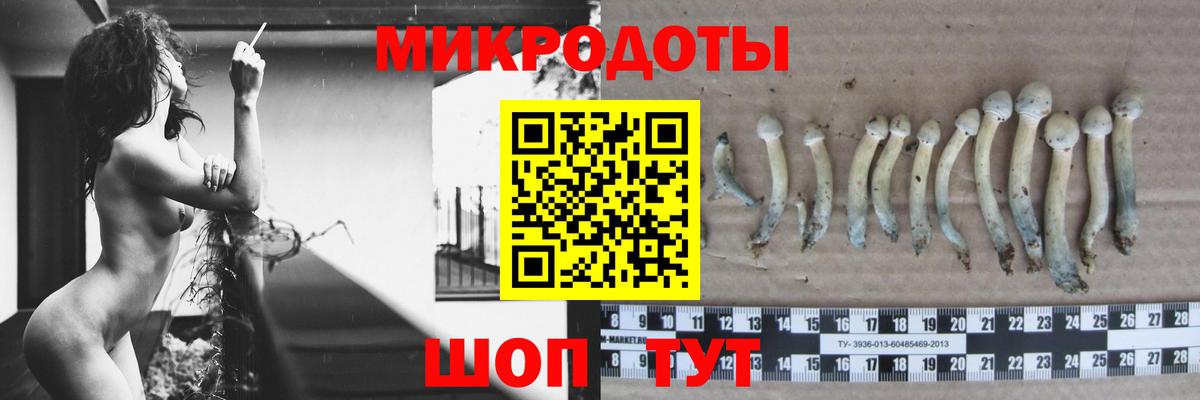 Псилоцибиновые грибы мицелий Воркута
