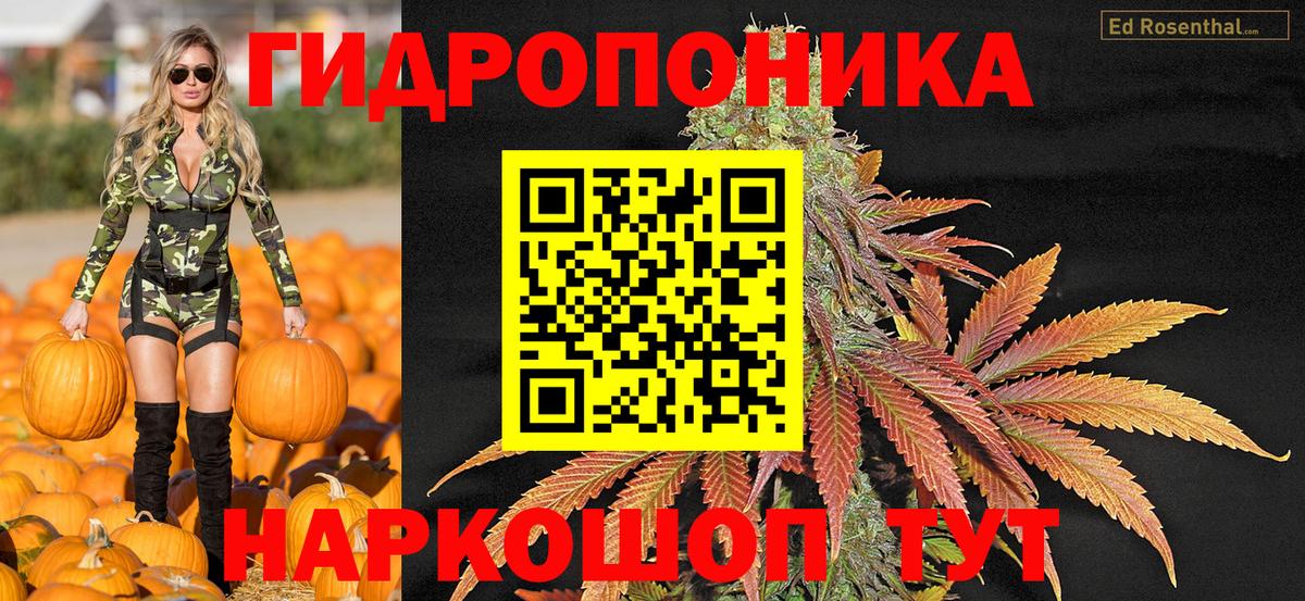 Бошки Шишки тримм  Конопля семена  Вход с VPN  Каннабис план  Канабис Bruce Banner  Воркута 